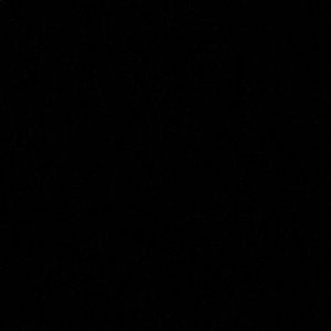 Meet your Posher, Felix